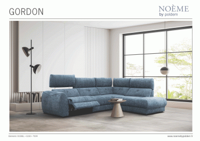 Reclining and Sliding Seats Sets Gordon Sectional w/recliner