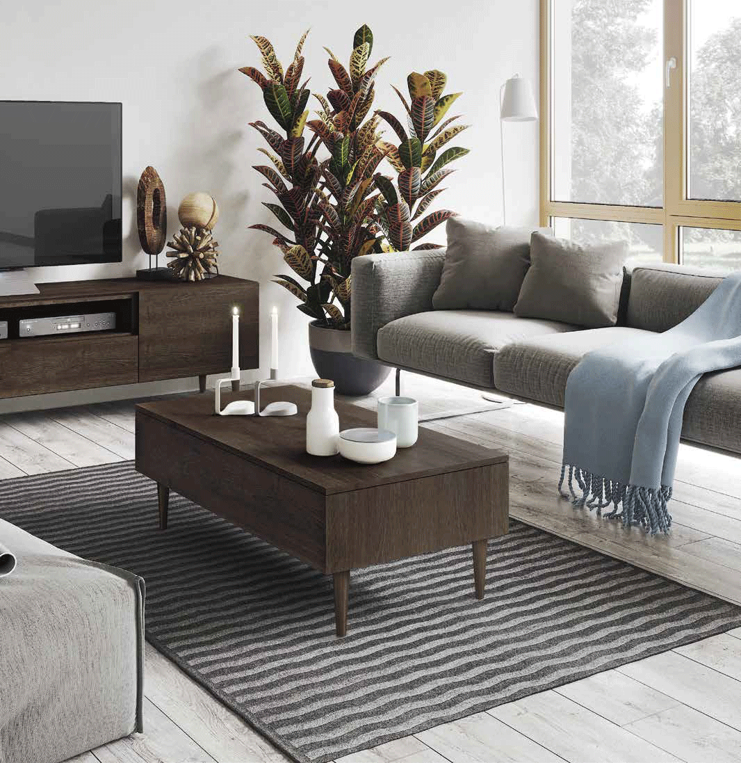 Clearance Living Room RP205 Storage Coffee table