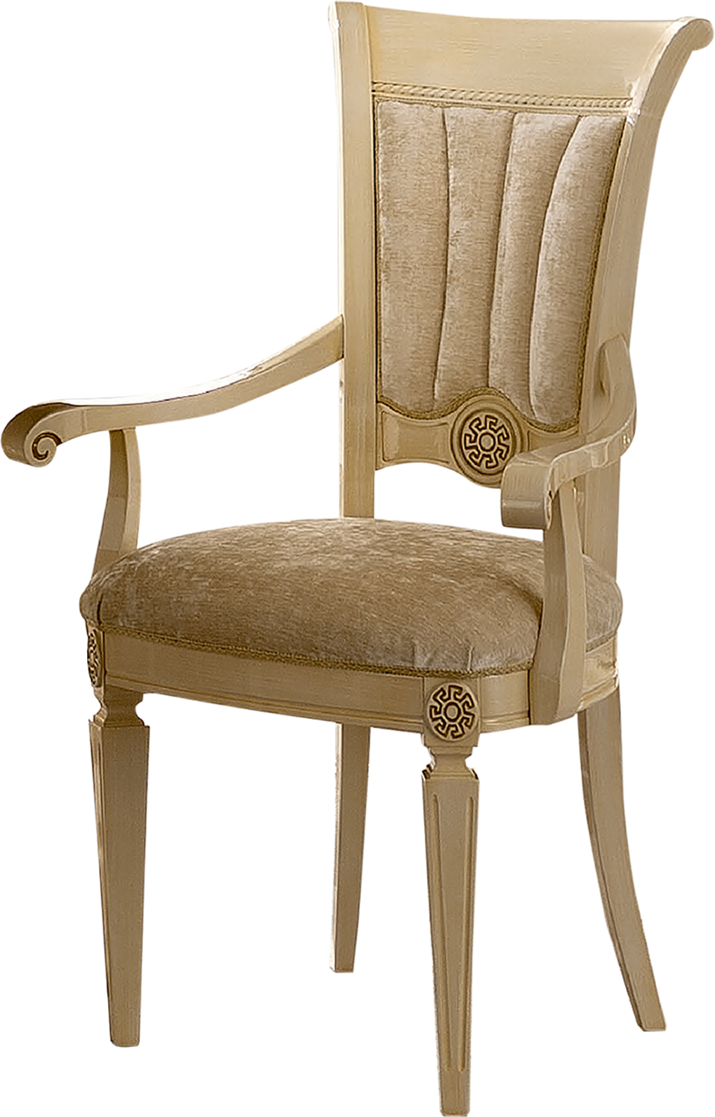 Brands Camel Gold Collection, Italy Aida Arm Chair Ivory