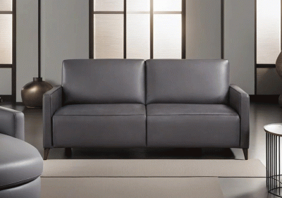 Living Room Furniture Sleepers Sofas Loveseats and Chairs SL 870 Sofa Bed