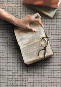 Tela Taupe Rug